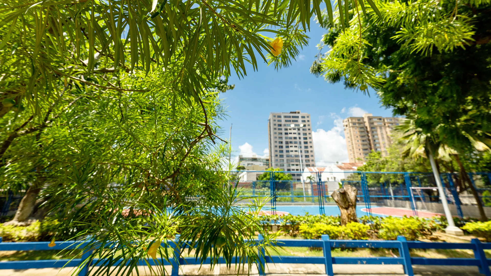 BiodiverCiudades 2